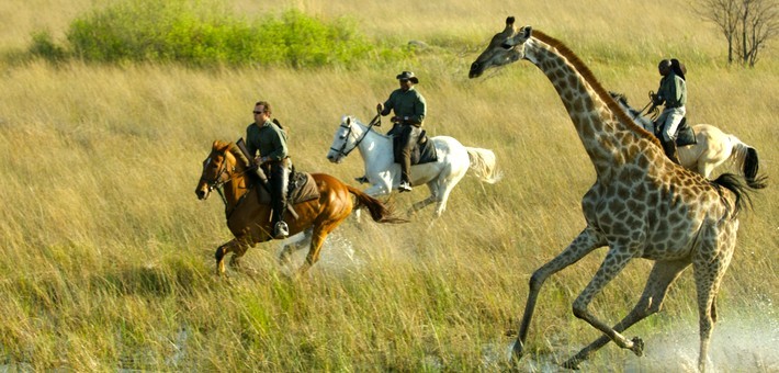 Safari à cheval dans l’Okavango au Botswana
