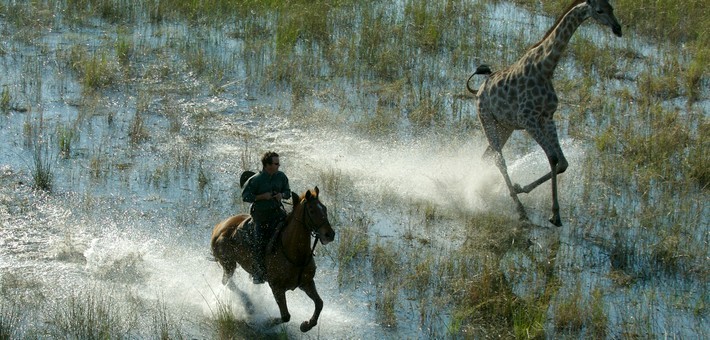 Safari à cheval, le meilleur du Botswana - Caval&go