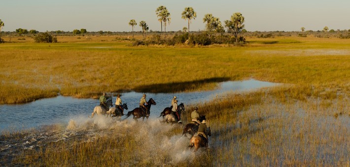 Safari à cheval au Botswana