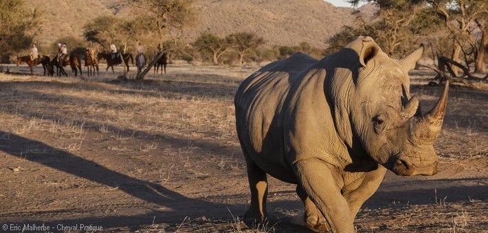 Safari à cheval en Namibie sur des pur-sang arabes