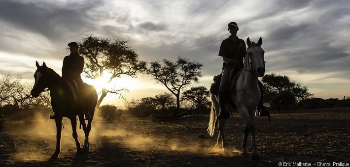 Safari à cheval en Namibie et pur-sang arabes