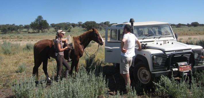 Safari à cheval en Namibie et pur-sang arabes
