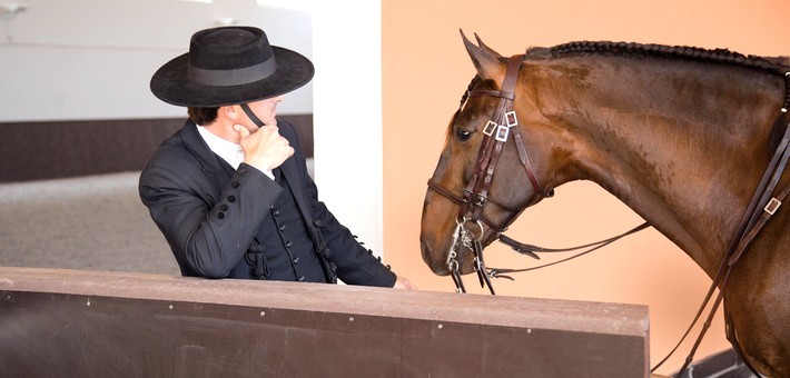 Séjour dressage au Portugal - caval&go