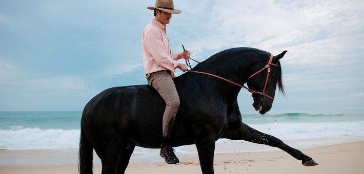 Séjour dressage au Portugal - caval&go