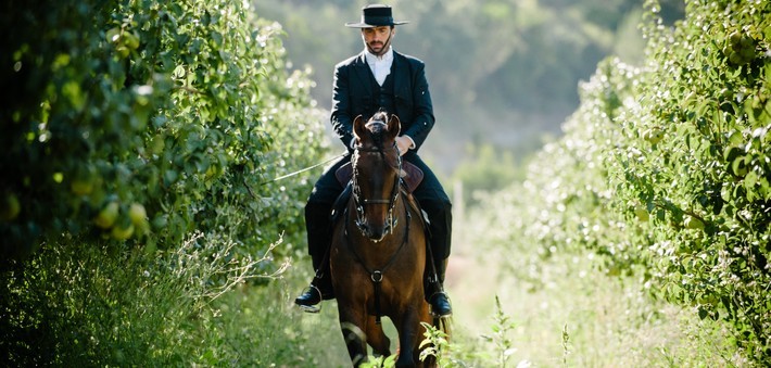 Séjour dressage au Portugal - caval&go