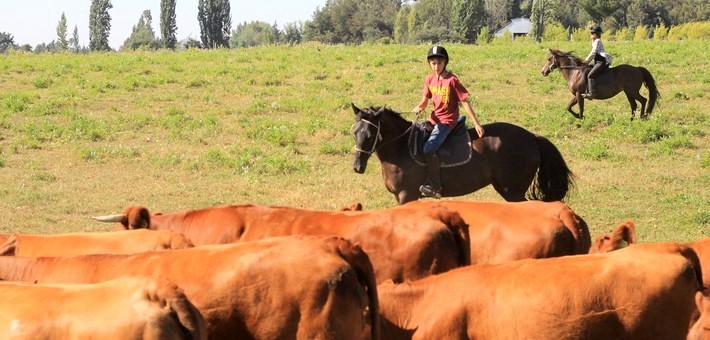 Séjour famille à cheval au Chili