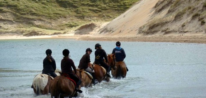 Séjour linguistique & équitation sur la côte d