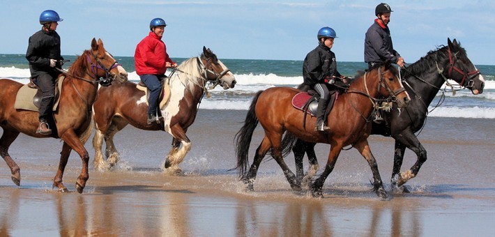 Séjour linguistique & équitation sur la côte d