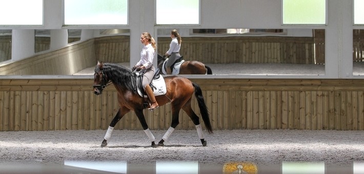 Séjour cheval et yoga au Portugal - Caval&go