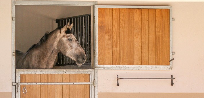 Séjour cheval et yoga au Portugal - Caval&go