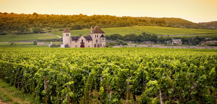 Randonnée à cheval aux pays Beaujolais et Mâconnais - Caval&go