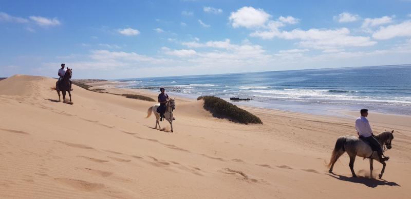 Randonnée équestre entre plages et palmeraies au Maroc