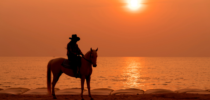 Randonnée et activités équestres à La Réunion - Caval&go