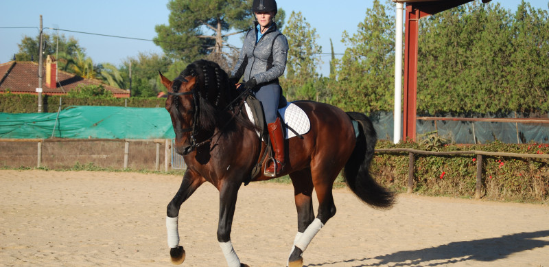 Dressage et équitation Haute Ecole à Séville - Caval&go