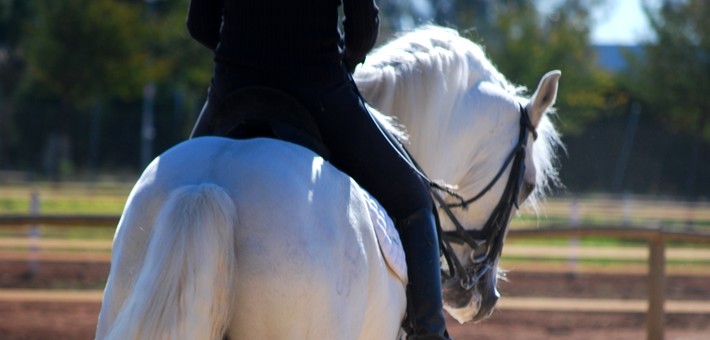 Dressage et équitation Haute Ecole à Séville - Caval&go