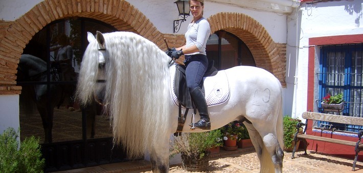 Dressage et équitation Haute Ecole à Séville - Caval&go