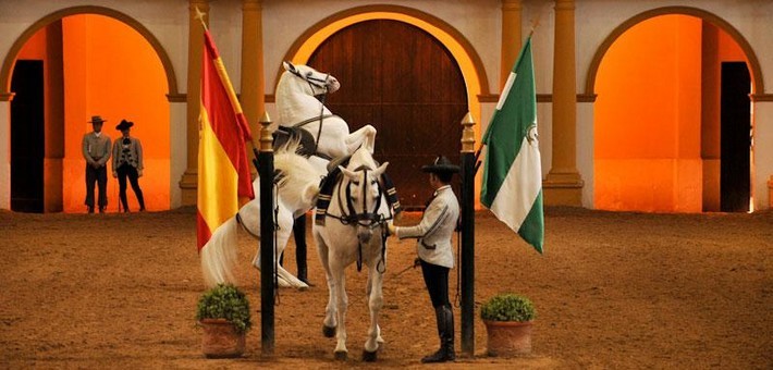 Dressage et équitation Haute Ecole à Séville - Caval&go