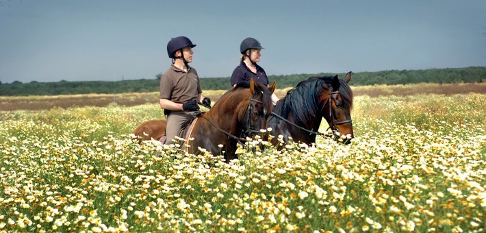 Stage de dressage et randonnée équestre à Séville - Caval&go