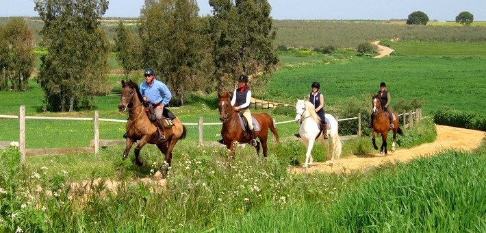 Stage de dressage et randonnée équestre à Séville - Caval&go