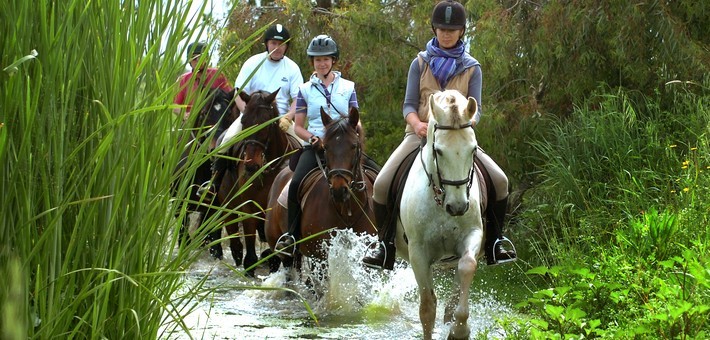 Stage de dressage et randonnée équestre à Séville - Caval&go