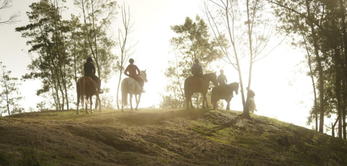 Randonnée et activités équestres à La Réunion - Caval&go