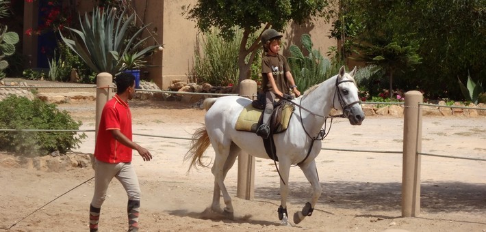 vacances équestres au Maroc sur la côte