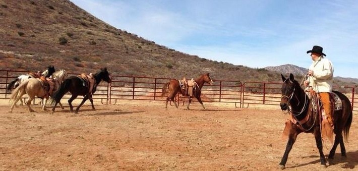 Voyage à cheval en Arizona 