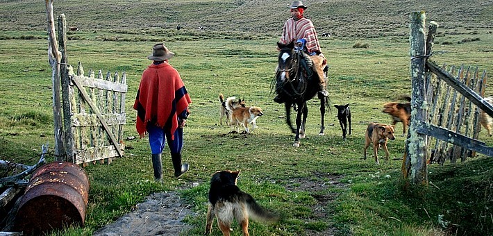 La Grande parade des Chagras en Equateur à cheval - Caval&go